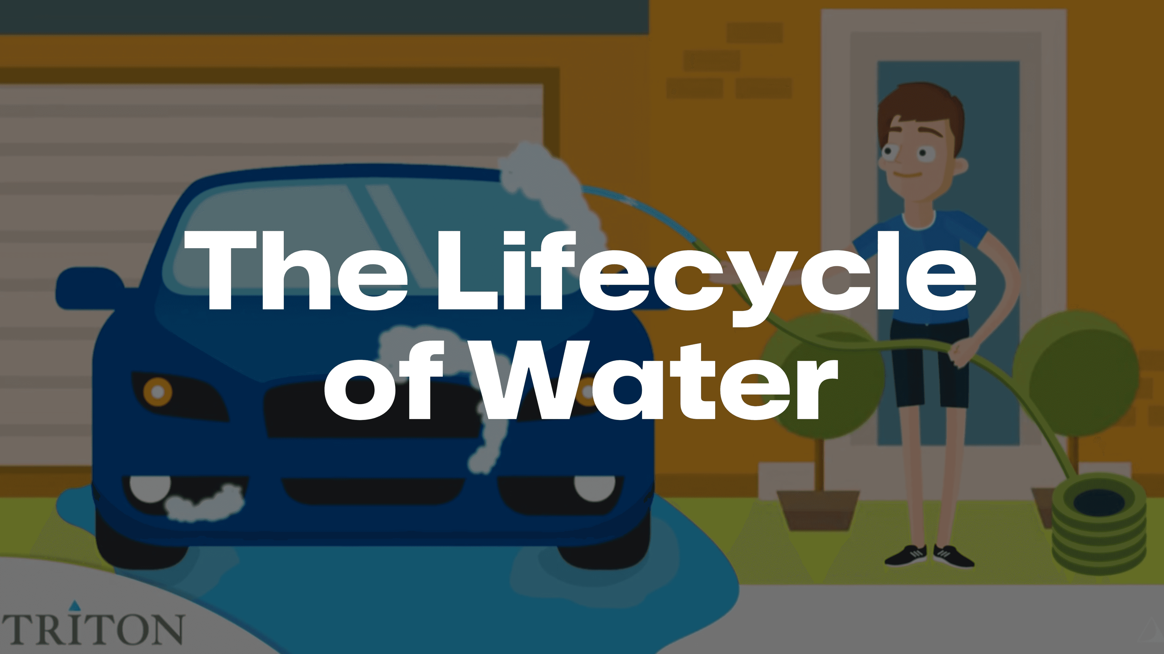 The Lifecycle of water thumbnail
